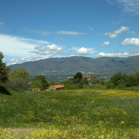 Gasthaus I Gelsi Figline Valdarno Exterior foto