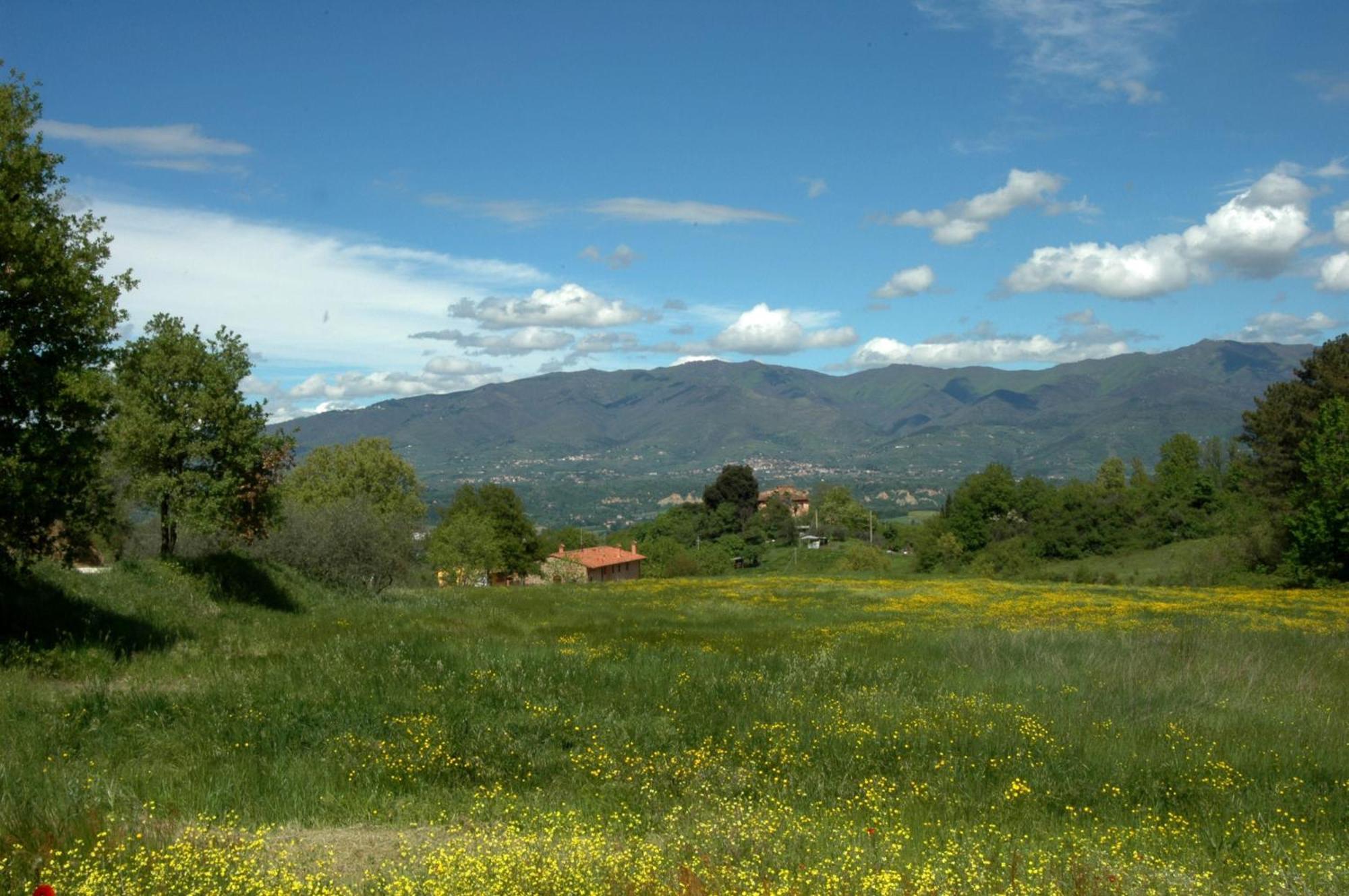 Gasthaus I Gelsi Figline Valdarno Exterior foto