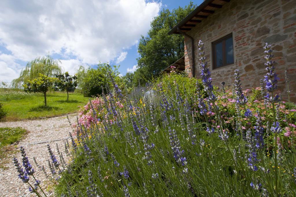 Gasthaus I Gelsi Figline Valdarno Exterior foto